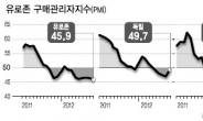 유로존 추락 끝이 안보인다