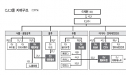 확 달라진 사업구조…CJ그룹주가 뜬다