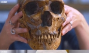 7만년 전 뼈로 ‘인류의 조상’ 네안데르탈인 완벽 복원