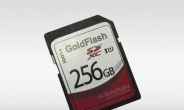 바른전자, 세계최고용량 256GB SD 카드 개발