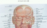 간호학과 학생 현실, “이게 사실이야?”