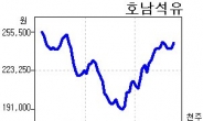 롯데케미칼로 합병 출범한 호남석유, 주가 전망은