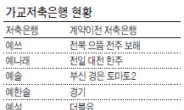 가교저축은행 차기 인수자…KB금융지주·러시앤캐시 유력