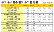 중소형주 장세 뚜렷…펀드도 희비교차