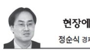 <현장에서 - 정순식> 주택시장 회복 발목잡는 국회