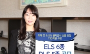 KDB대우證, ELS 6종 DLS 5종 공모