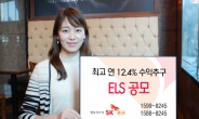 SK證, 최고 연 12.4% 수익추구 ELS 2종 공모