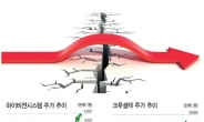 악재 털어낸 기업을 주목하라