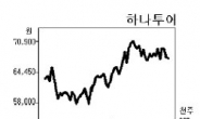 여행株, 벌써 날개 꺾였나