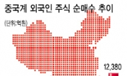 차이나머니 증시 대공습