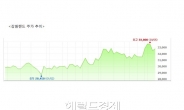 <생생코스피> 강원랜드, ‘매수 기회’ vs ‘팔아라’