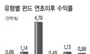 해외 혼합형 펀드 수익률 ‘눈에 띄네’