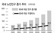 웰에이징시대…헬스케어株 ‘날다’