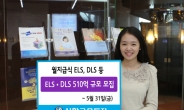 신한금융투자, ELSㆍDLS 510억원 규모 모집