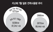 日“원전 OUT” 그래도‘블랙OUT’없는 까닭은…