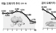 풍년에 가격폭락…마늘 · 감자농가 ‘시름’