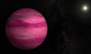 핑크색 외계행성 발견 “너무 아름다워