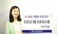 신한금융투자, DLBㆍDLS 6종, ELBㆍELS 6종 판매