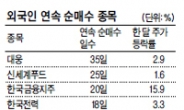 대웅株 35거래일째…외인들 계속 사들였다