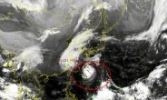 태풍 다나스 위성사진 보니…“급속 북진”