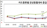 ‘날개 꺾인’ 신용카드…사용액 사상 첫 마이너스 증가율