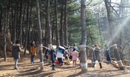 <포토뉴스> 상암산에 ‘유아 숲 체험장’