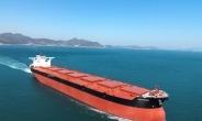대우조선해양 초대형 철광석 운반선, 세계일류상품 선정