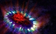 초신성 폭발 장면, 16만 8000광년 전 일이…‘우주의 신비’