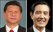 중국 - 대만 첫 장관급 회담, 정상회담으로 이어질 것 기대감