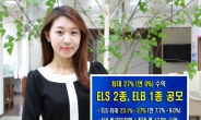 하이투자증권, 19일부터 ELS 2종, ELB 1종 공모