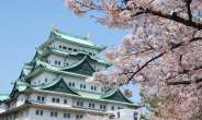제주항공, 벚꽃관광객 위한 일본 4대도시 왕복항공권 특가 판매 실시