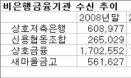 저축은행 불신, 새마을금고-신협으로