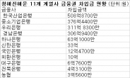 [세월호 참사] 은행들 여신 회수 시 청해진해운 관계사들 자금 압박 심화될 듯