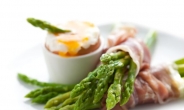 노화예방 21세기 항산화 식품 ‘아스파라거스’