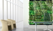 [그린리빙-하우징] 우리집 ‘화학벽지’ 뜯어내고 ‘식물녹지’ 가꿨다