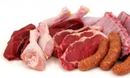 고기 맛들린 신흥국…‘단백질 기업’이 뜬다