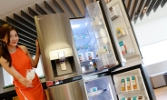 LG전자, 신개념 ‘디오스 얼음정수기 냉장고’ 출시