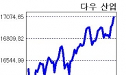 17000 넘어선 美 다우지수…추가 상승 여력 ‘충분’ vs 조정 ‘불가피’