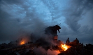 [말레이機 피격]우크라 상공서 지대공 미사일 피격…298명 전원 사망