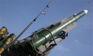 [말레이機 피격]러시아제 지대공 미사일, 누가 쐈나?…책임공방 격화