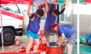 삼성전기, 20년째 ‘농촌 봉사’…올해는 강원 평창서 140여명 참여