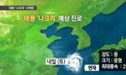 태풍 할롱 북상, 태풍 나크리 소멸 하자마자…한반도 영향은?