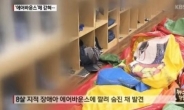 에어바운스 사고, 올해만 3번째? ‘아이 있는 줄 모르고 공기 빼내다…’