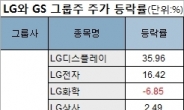 LG그룹株 vs GS그룹株…‘옛가족’ 간 희비!