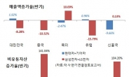 신흥국서 고전하는 코리아 電ㆍ車군단