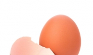 [리얼푸드 내추럴]달걀에 대한 오해와 진실