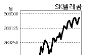 SK그룹株‘나홀로 강세’