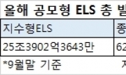 양극화되는 ELS 시장…지수형 ‘쏠림’ㆍ종목형 ‘외면’ 심각