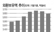 외환보유 28개월來 최대폭 감소