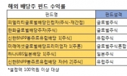 국내보다 먼저 뜨는 선진국 배당주펀드로 관심 옮겨볼까